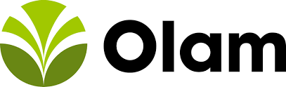 ROCHE logo